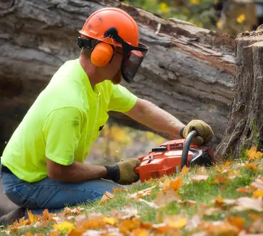 tree services Elko